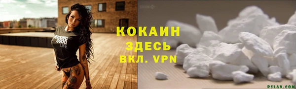 дмт Кукмор