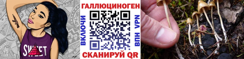 Псилоцибиновые грибы Psilocybe shop состав Юхнов