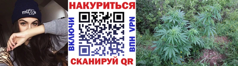 darknet наркотические препараты Юхнов Канабис конопля